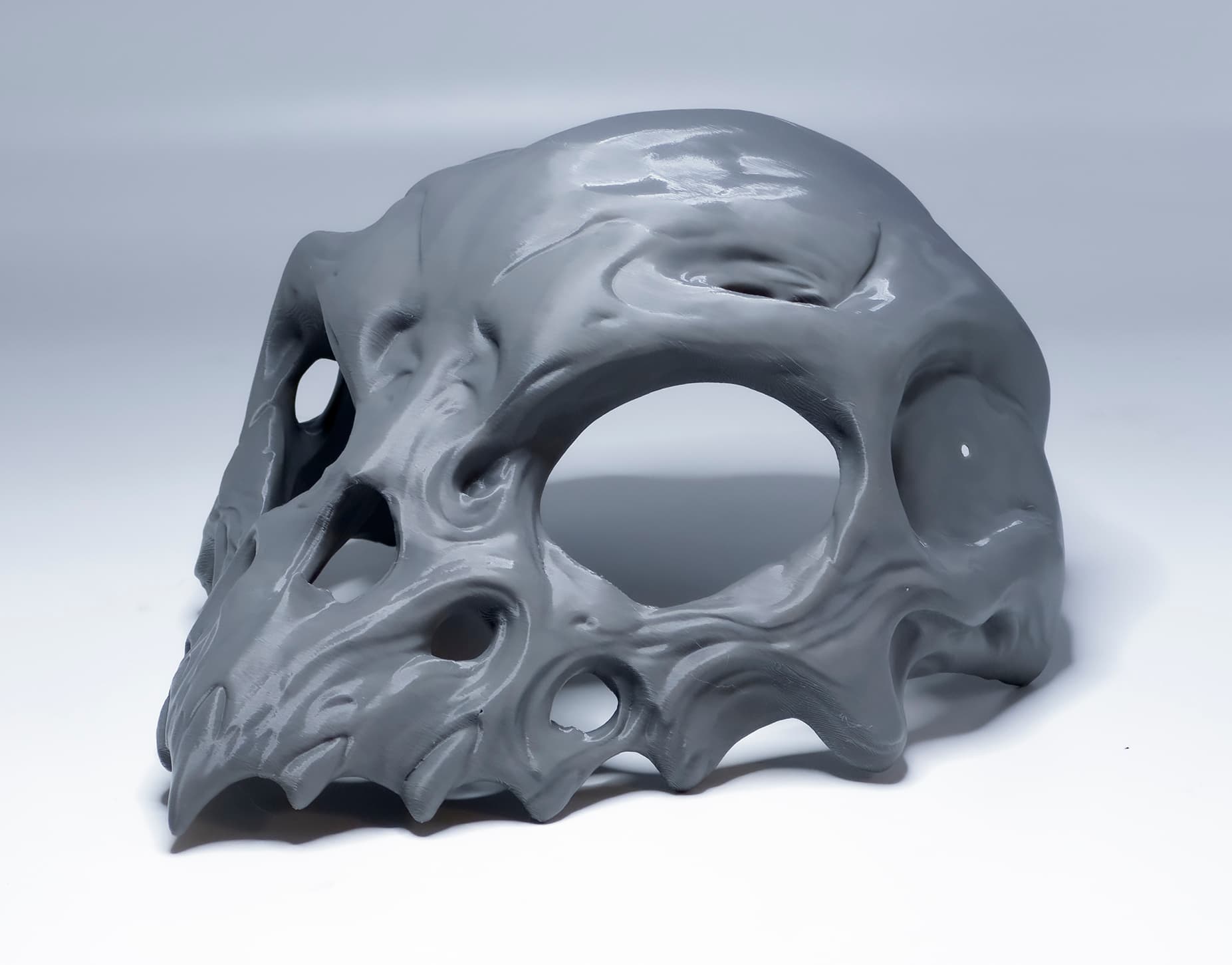 Skull Bird Bone Halloween Scary Mask 3d model