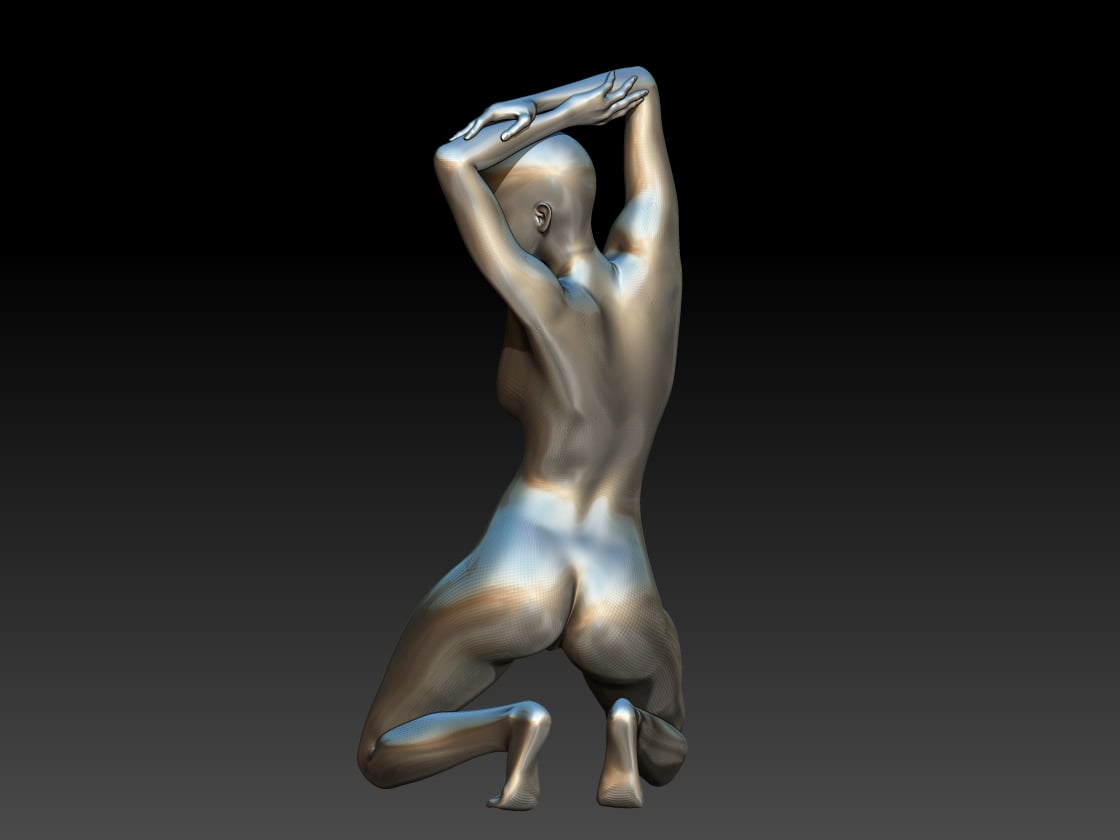 model arms up 3d model