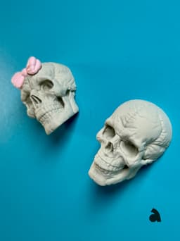 Puffy Skull Fridge Magnets 3d model