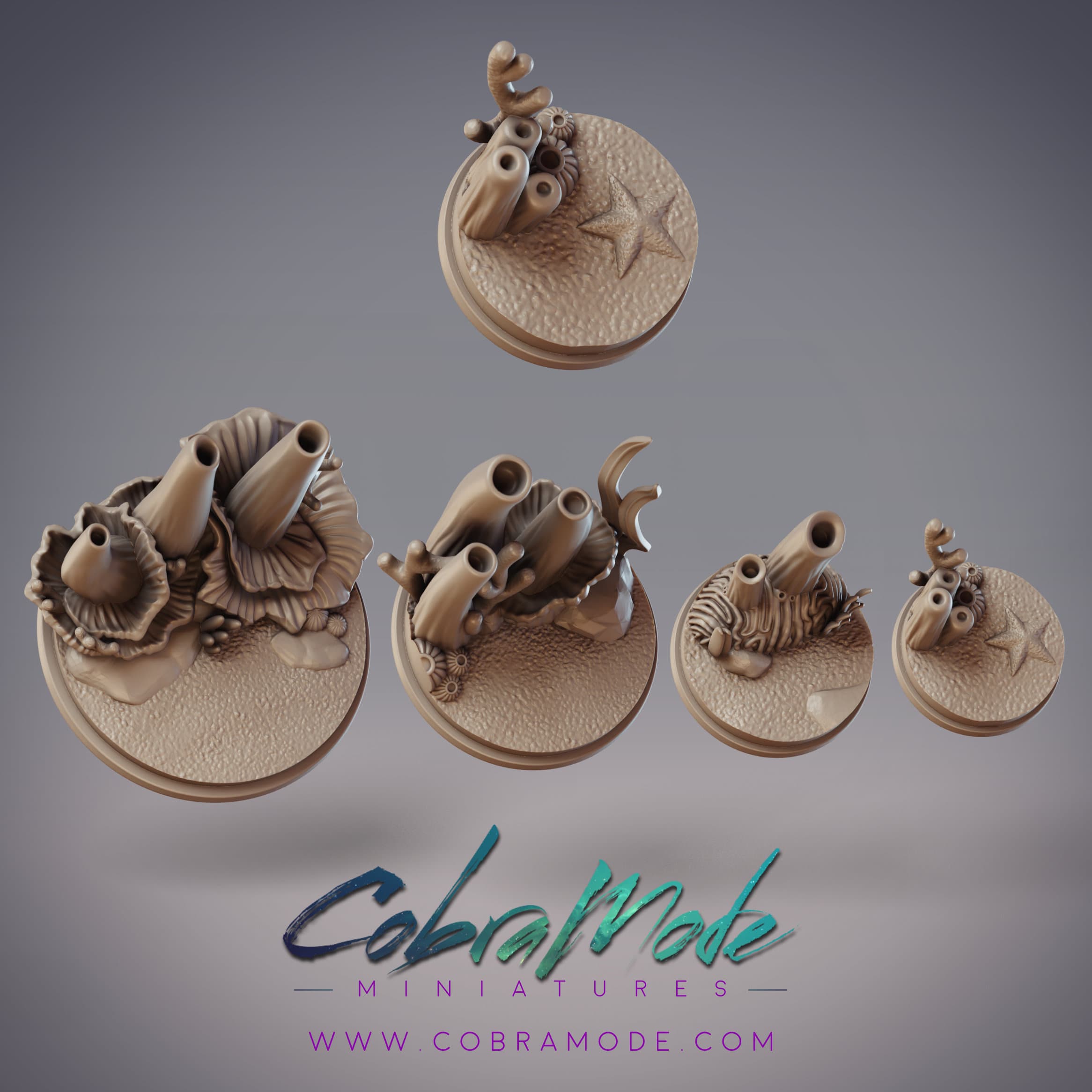Coral Reef Base Pack (4pcs) 3d model