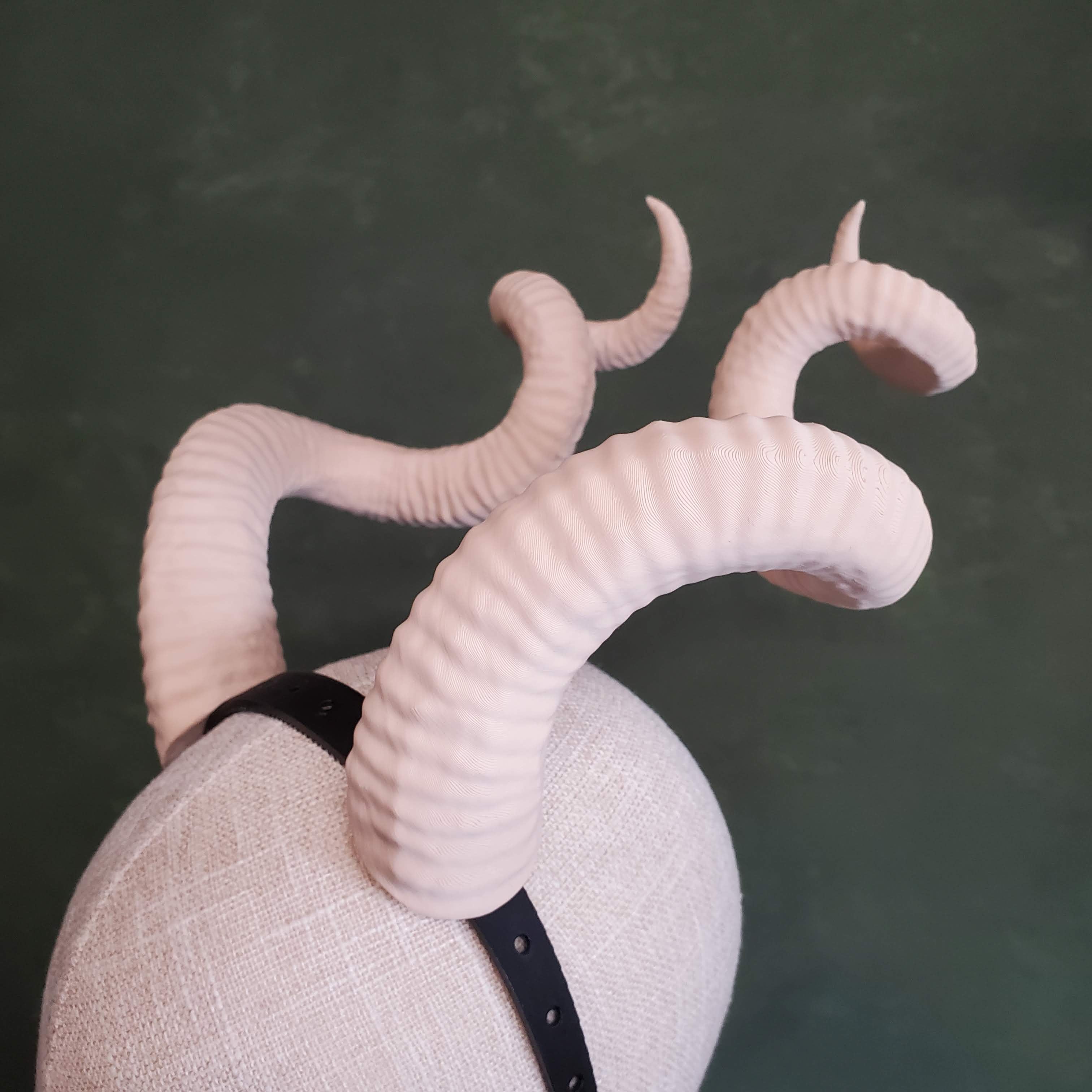 Bianca | Large Spiral Horns 3d model