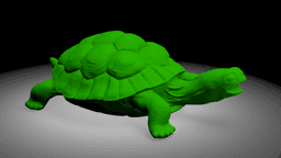 Tortois 3d model
