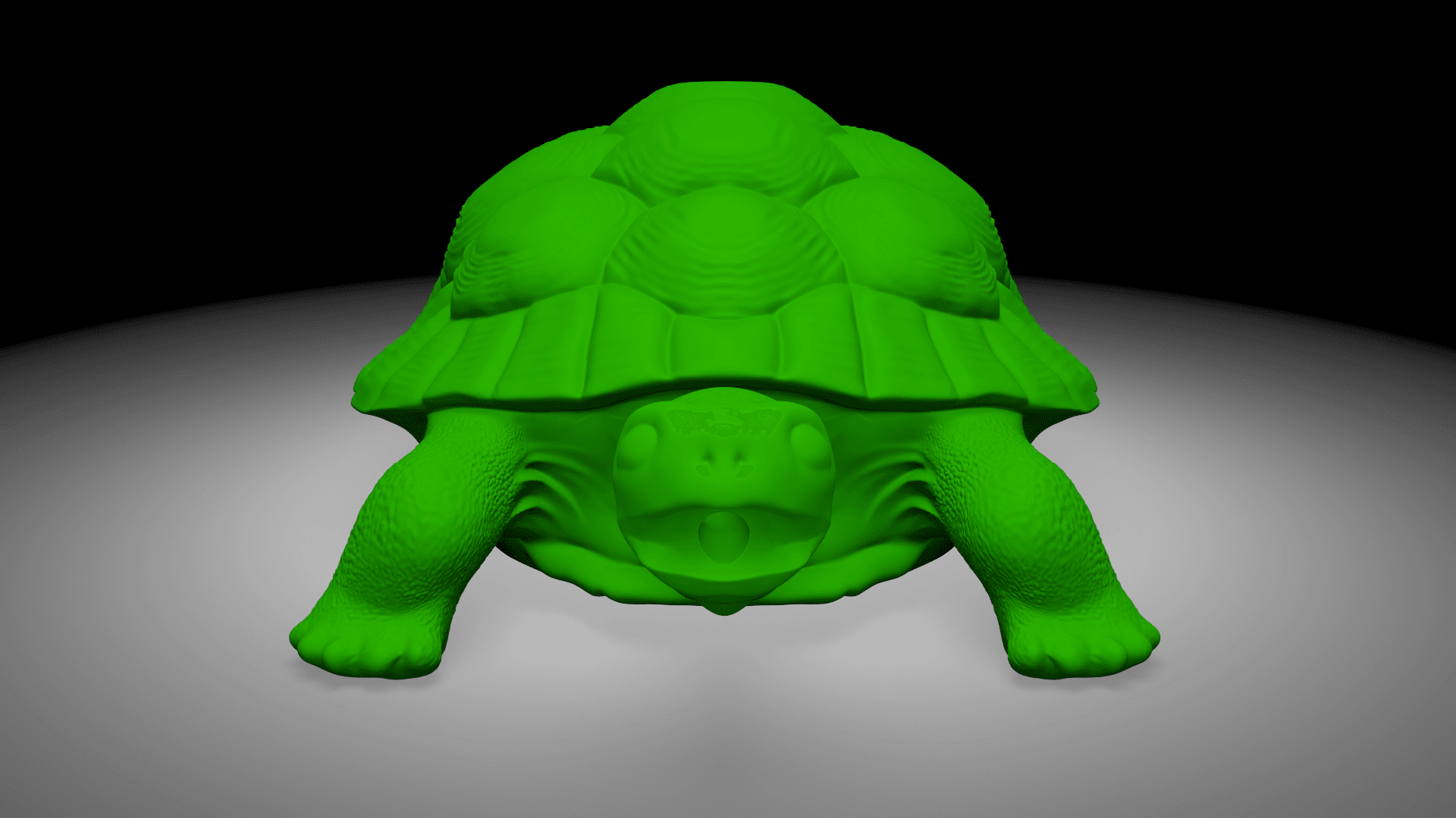 Tortois 3d model