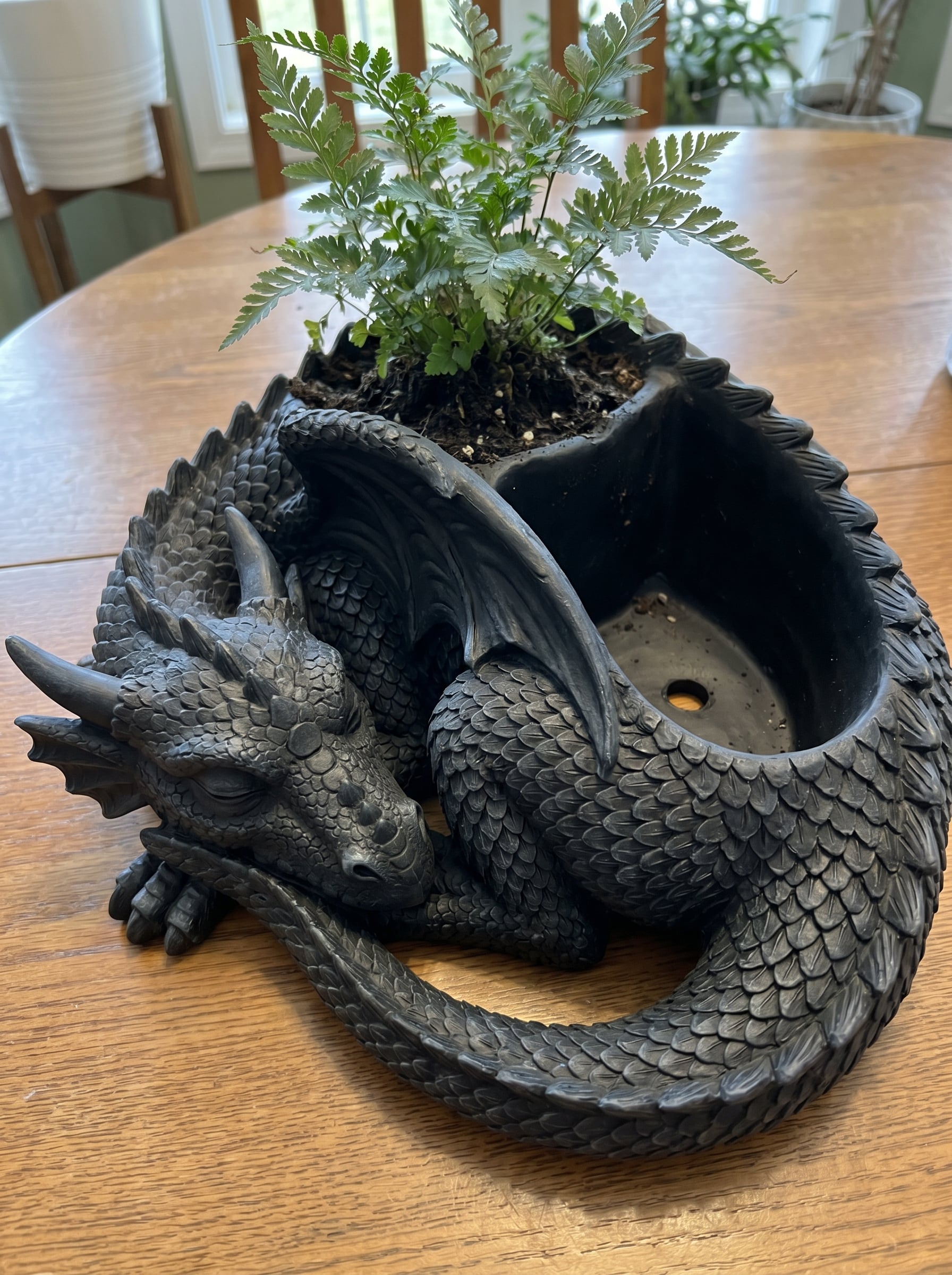Fantasy Dragon Planter STL 3d model