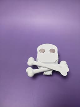 Alien Skull and Crossbones Fridge Magnet 3d model