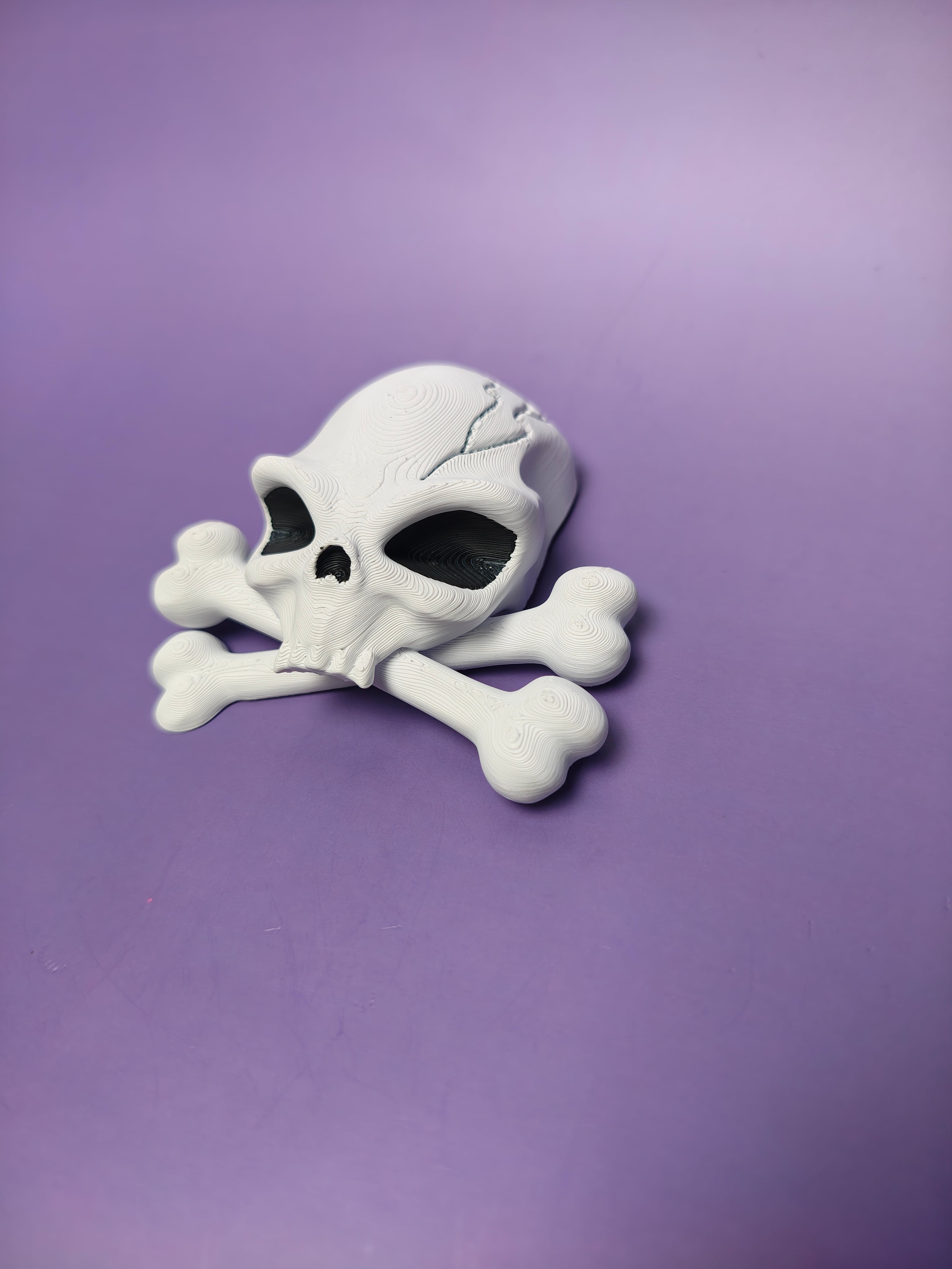 Alien Skull and Crossbones Fridge Magnet 3d model
