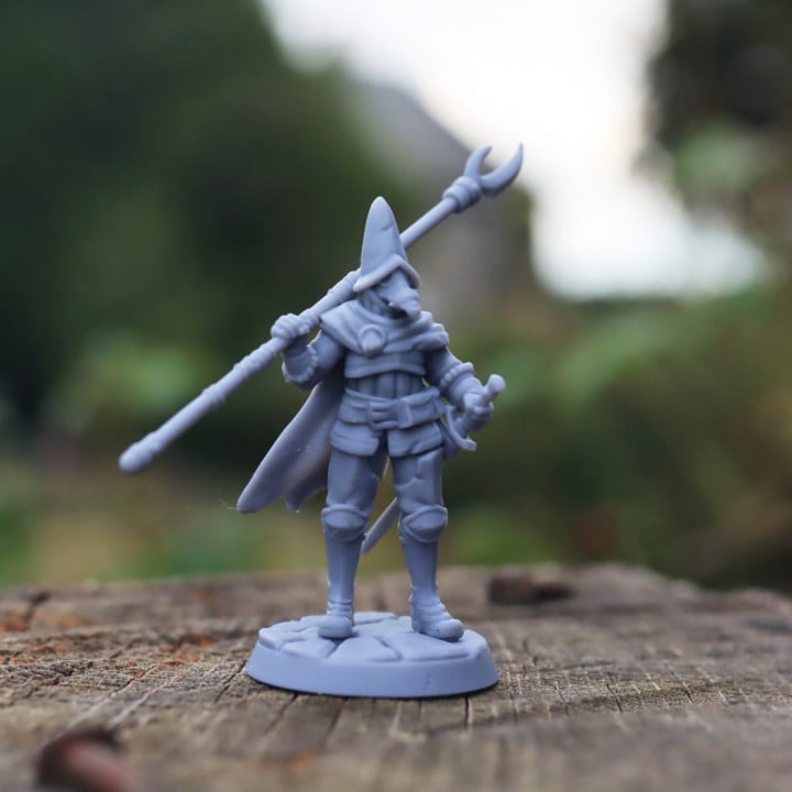 Free Plague Guard 3d model