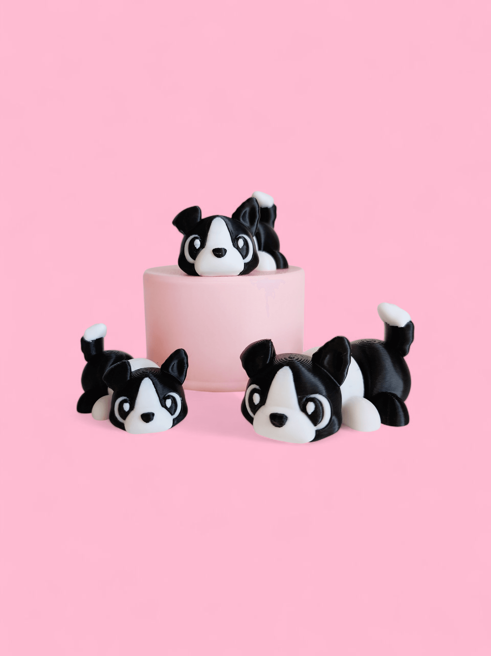 2025 Border Collie Flexi 3d model