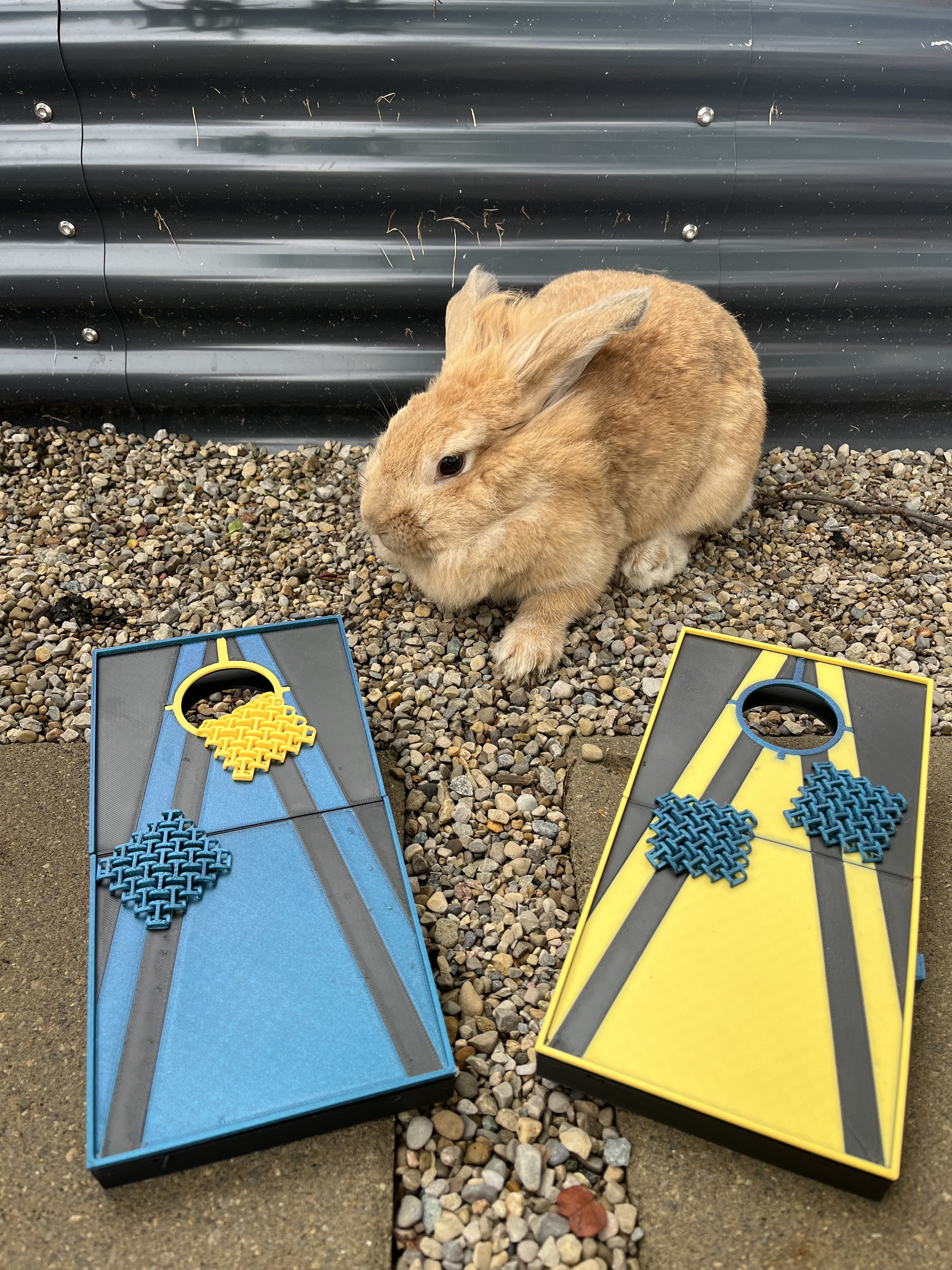 Bunny Approved :)