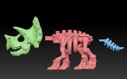 Triceratop Skeleton 3d model