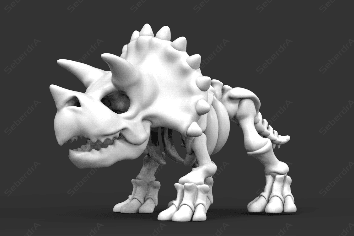 Triceratop Skeleton 3d model