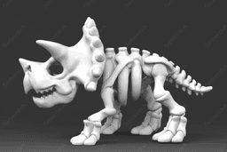 Triceratop Skeleton 3d model
