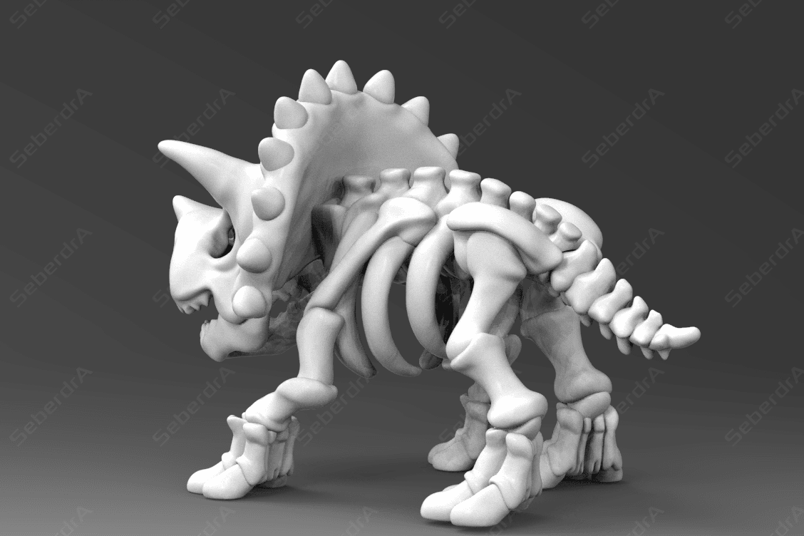 Triceratop Skeleton 3d model