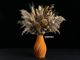 Vortex Vase 3d model