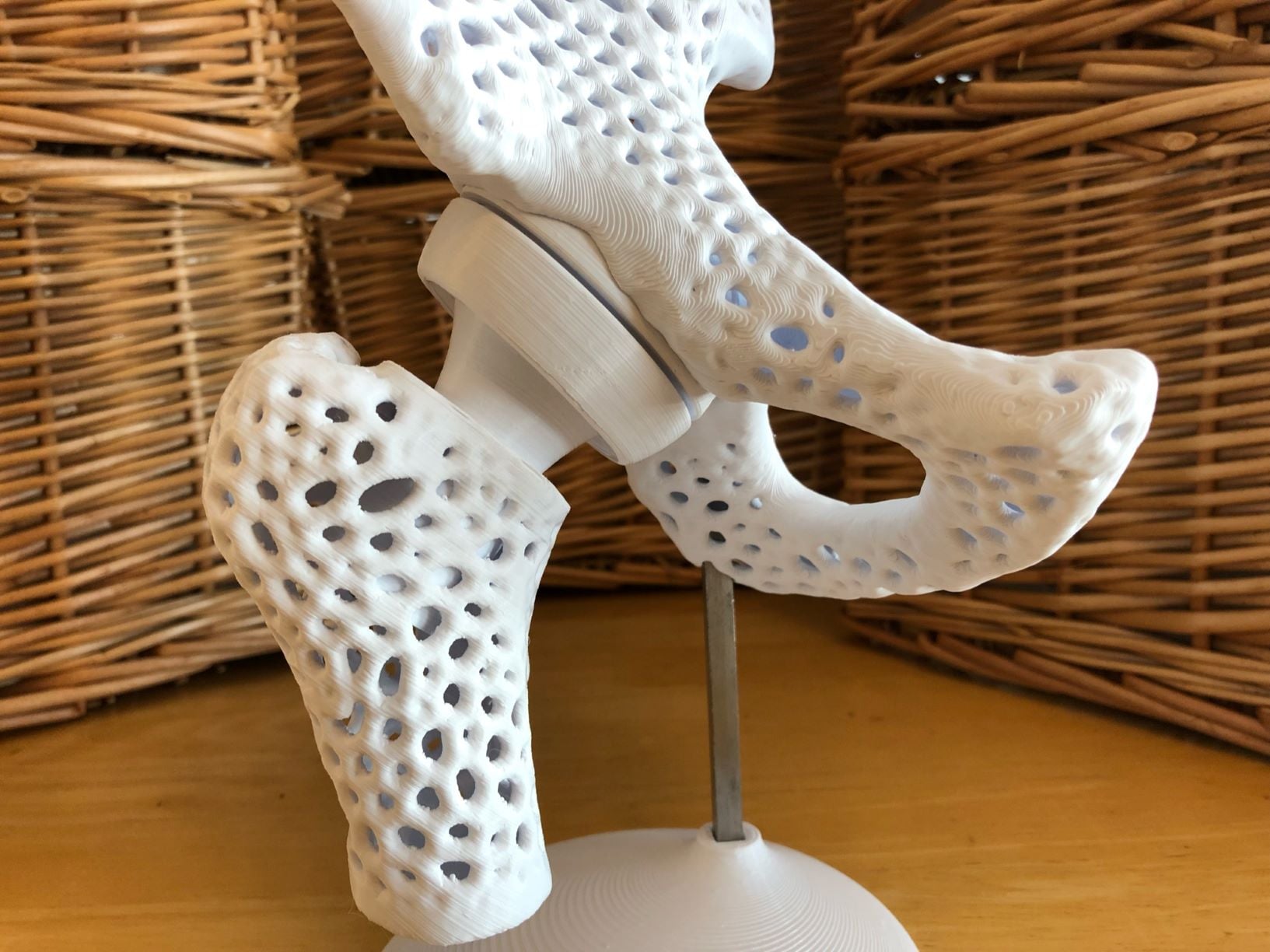 Pelvis Model with Adjustable Ball and Socket Acetabular Joint 3d model