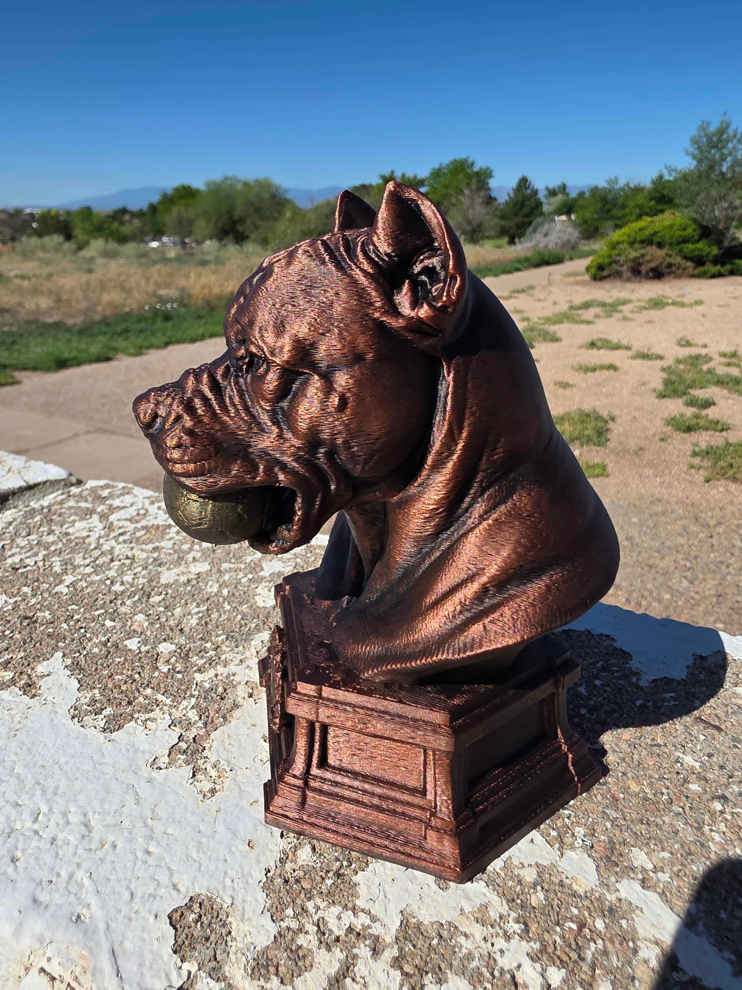 Pitbull Bust 3d model