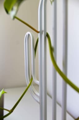 Cactus Planter Trellis 3d model