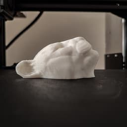 Puma Wall 3d model