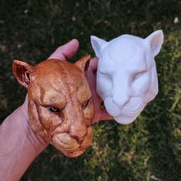 Puma Wall 3d model