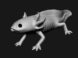 Axolotl 3d model
