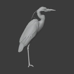 Heron 3d model