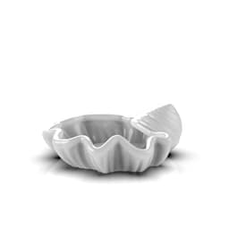 Sea shell 3d model