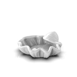 Sea shell 3d model