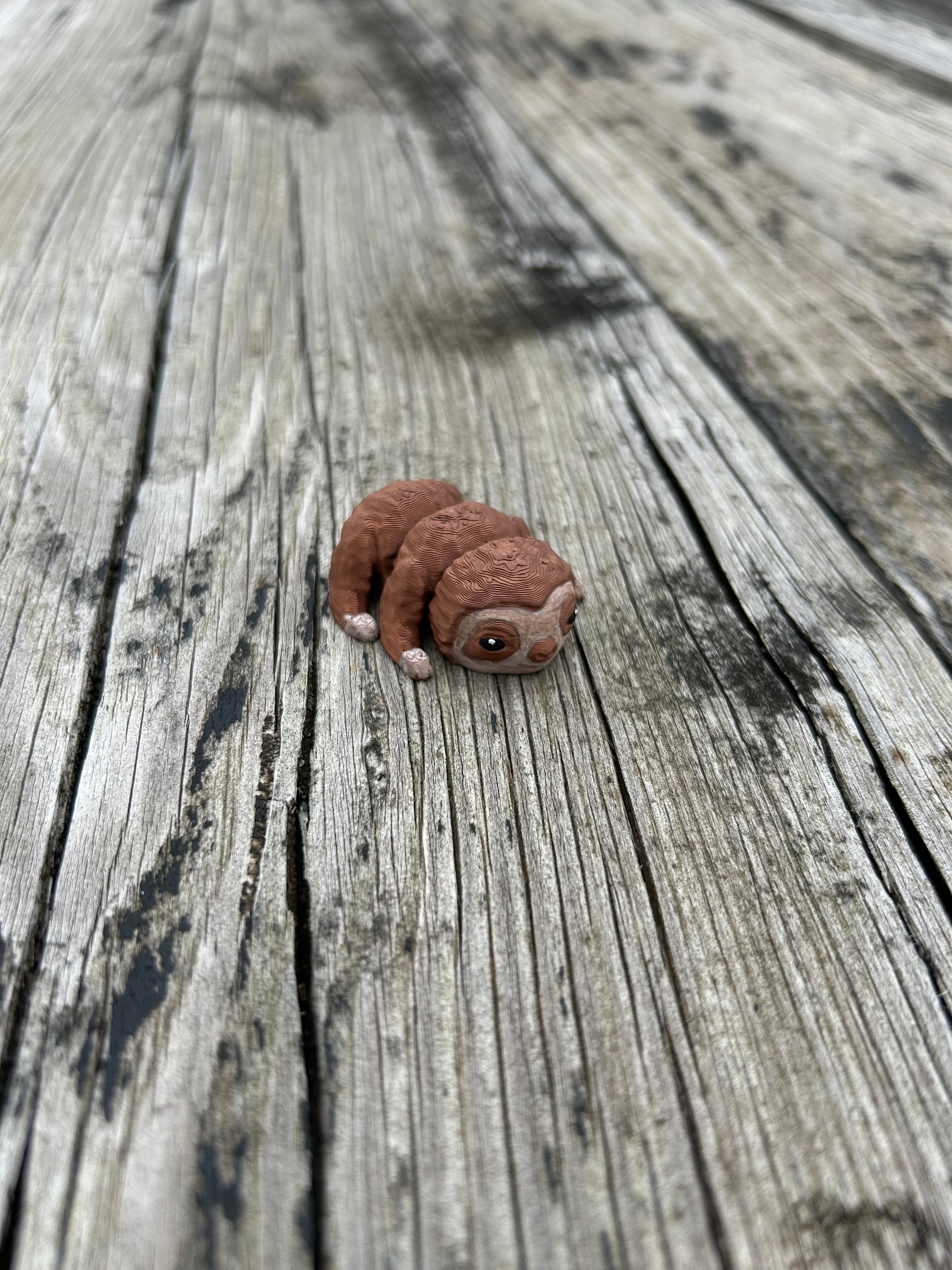 Baby Sloth Fidget with solid legs 3d model