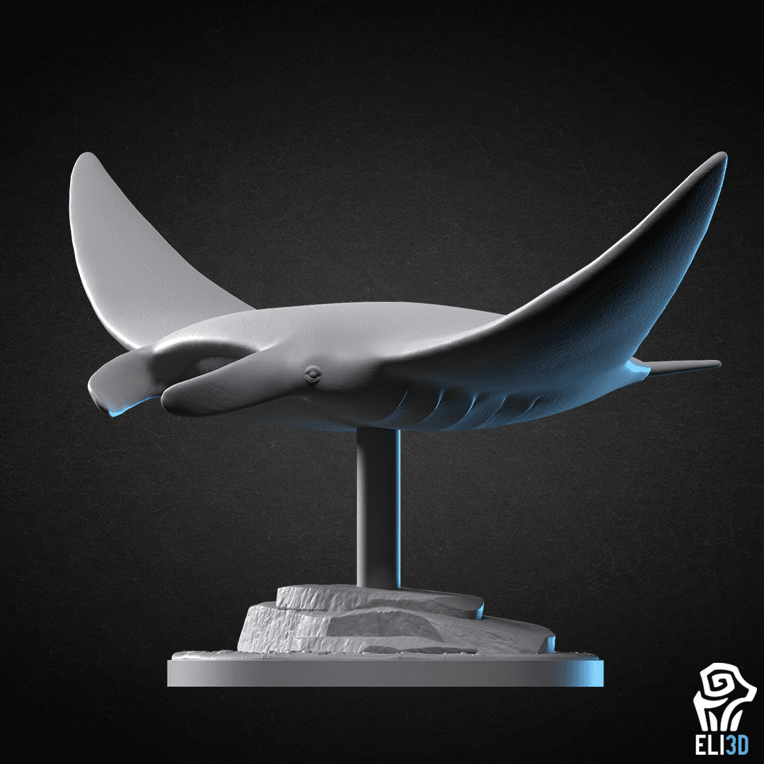 Animals - Ocean Wildlife 3d model