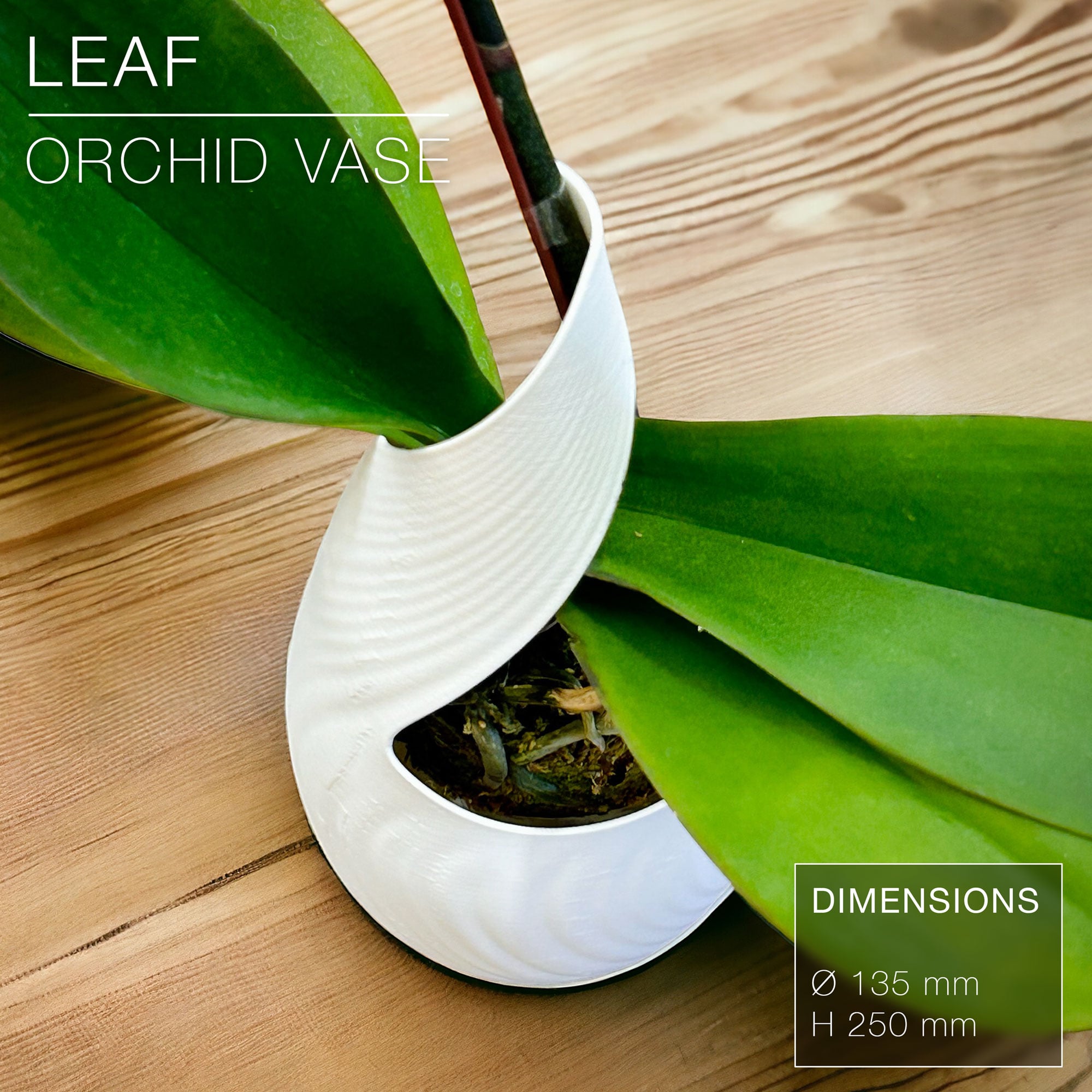LEAF | Orchid Vase Planter 3d model