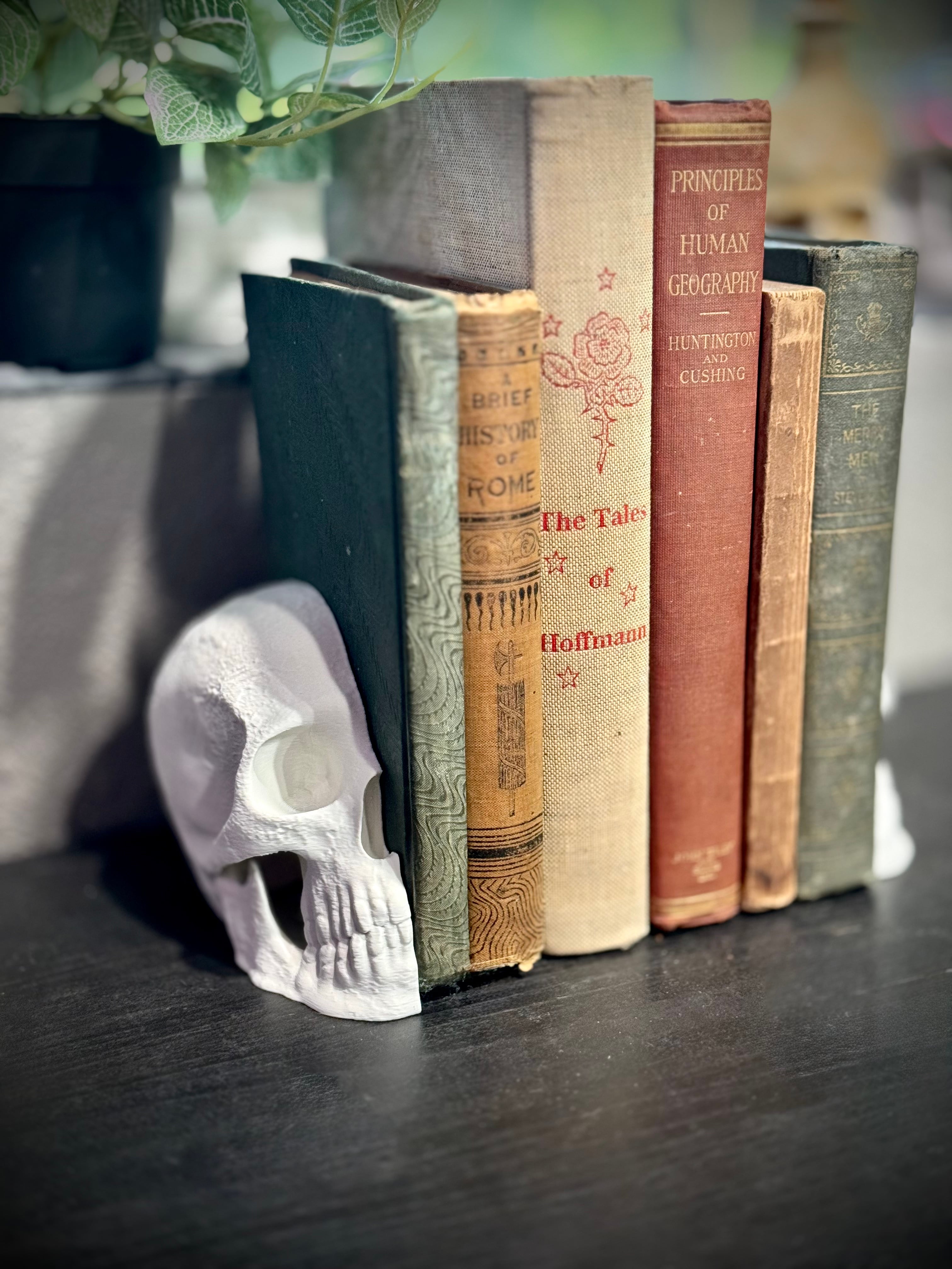 Skull bookends 3d model