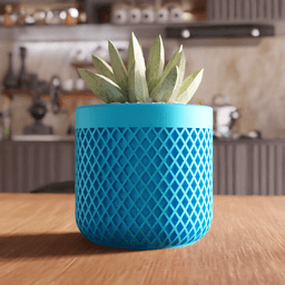 Lattice Succulent Planter and Organizer 3d model