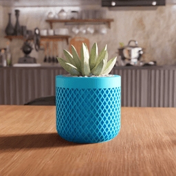 Lattice Succulent Planter and Organizer 3d model