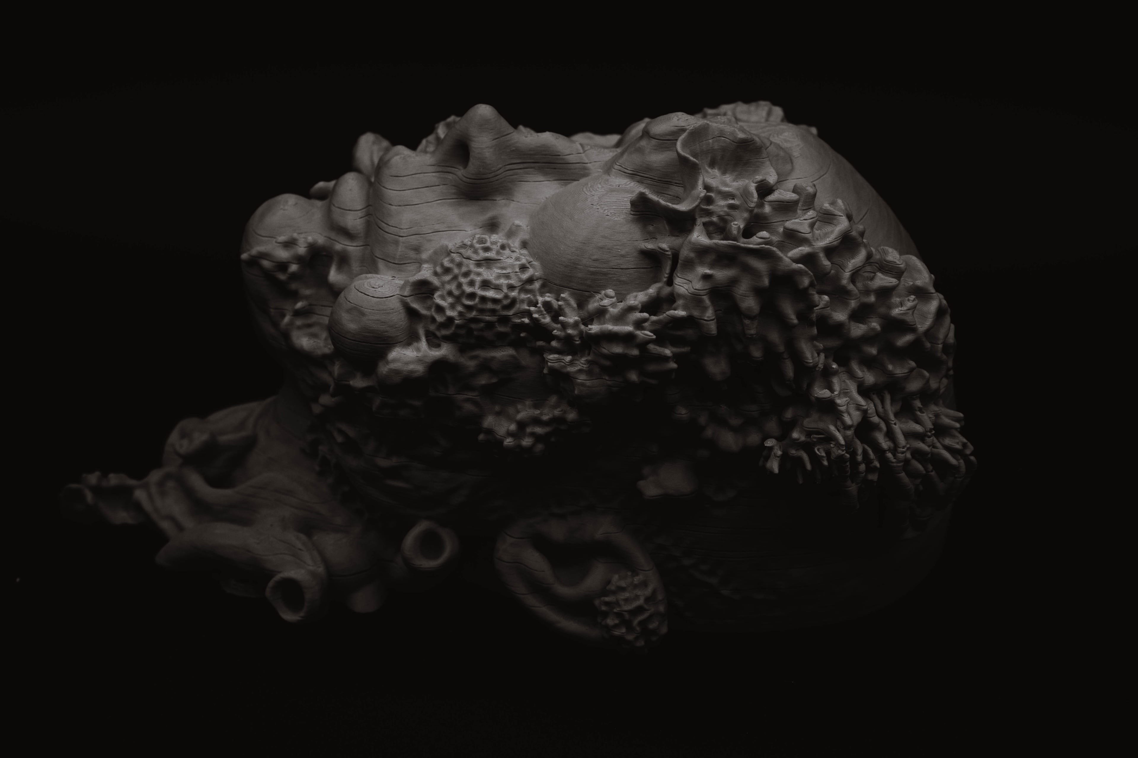 Coral Modular (Pre Supported) 3d model