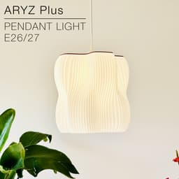 ARYZ Plus | Pendant light E26/27 3d model