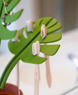 Mirror Monstera 3d model