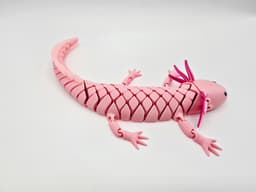 Flexi Hybrid Axolotl 3d model