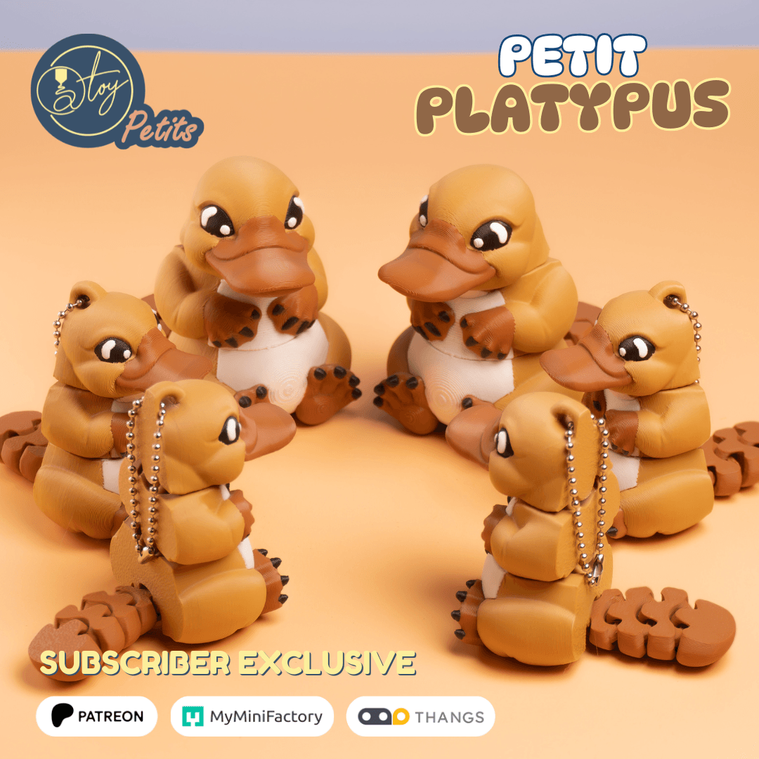 Petit Platypus 3d model