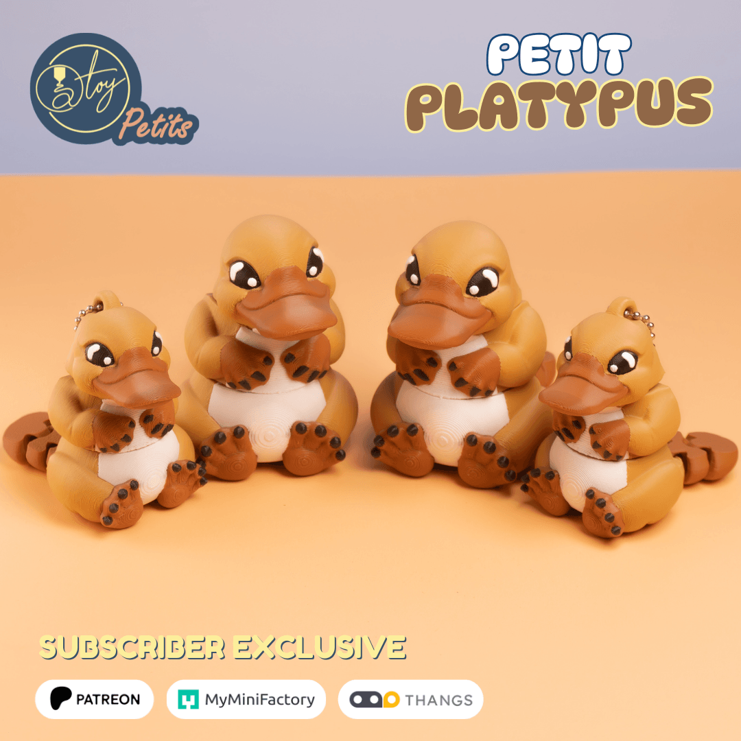 Petit Platypus 3d model
