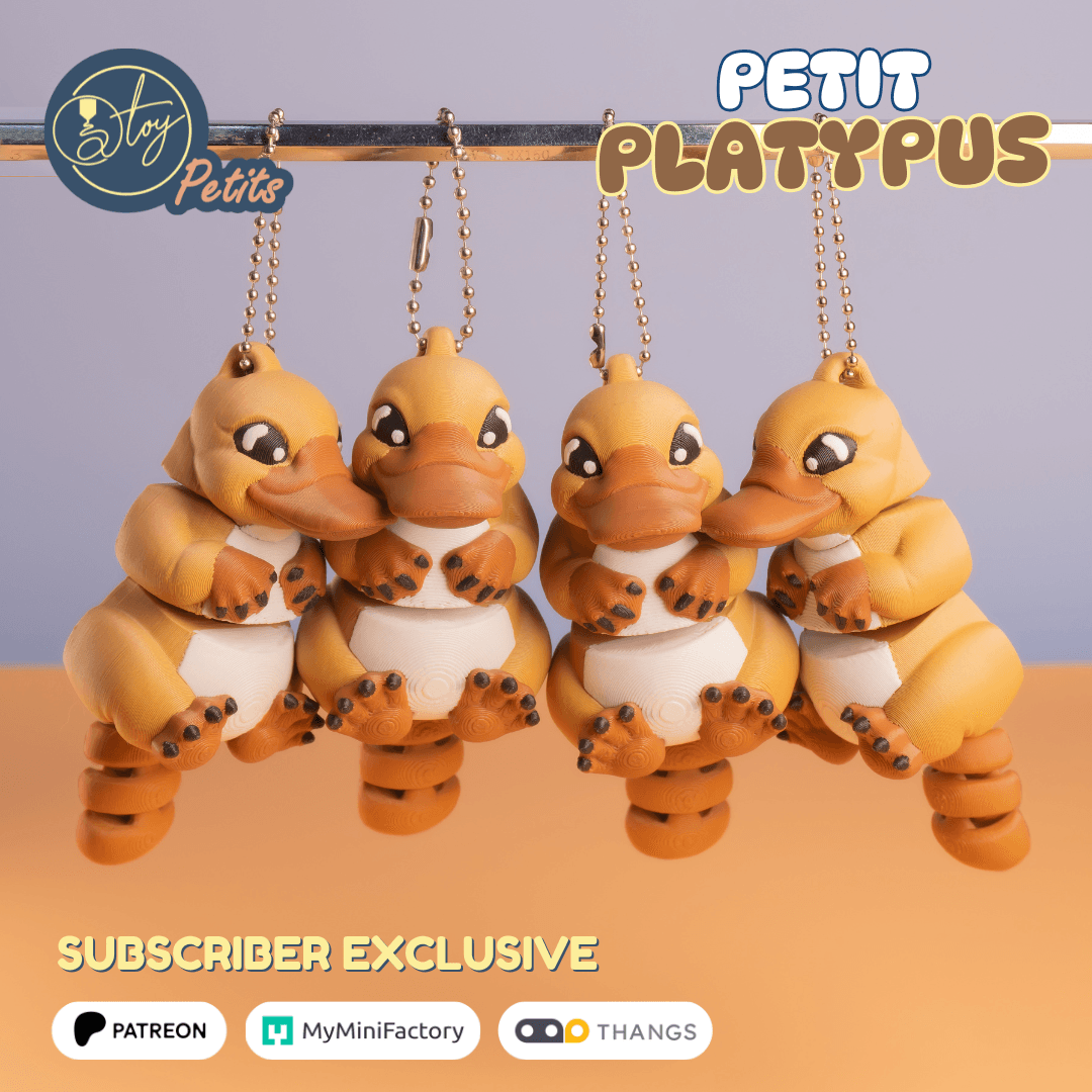 Petit Platypus 3d model