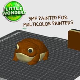 Rain Frog 3d model
