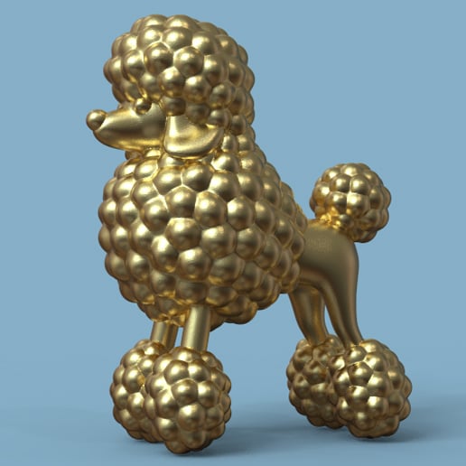 POODLE 3d model