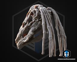 Gungan Skulls Trophy - 3D Print Files 3d model