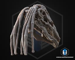 Gungan Skulls Trophy - 3D Print Files 3d model
