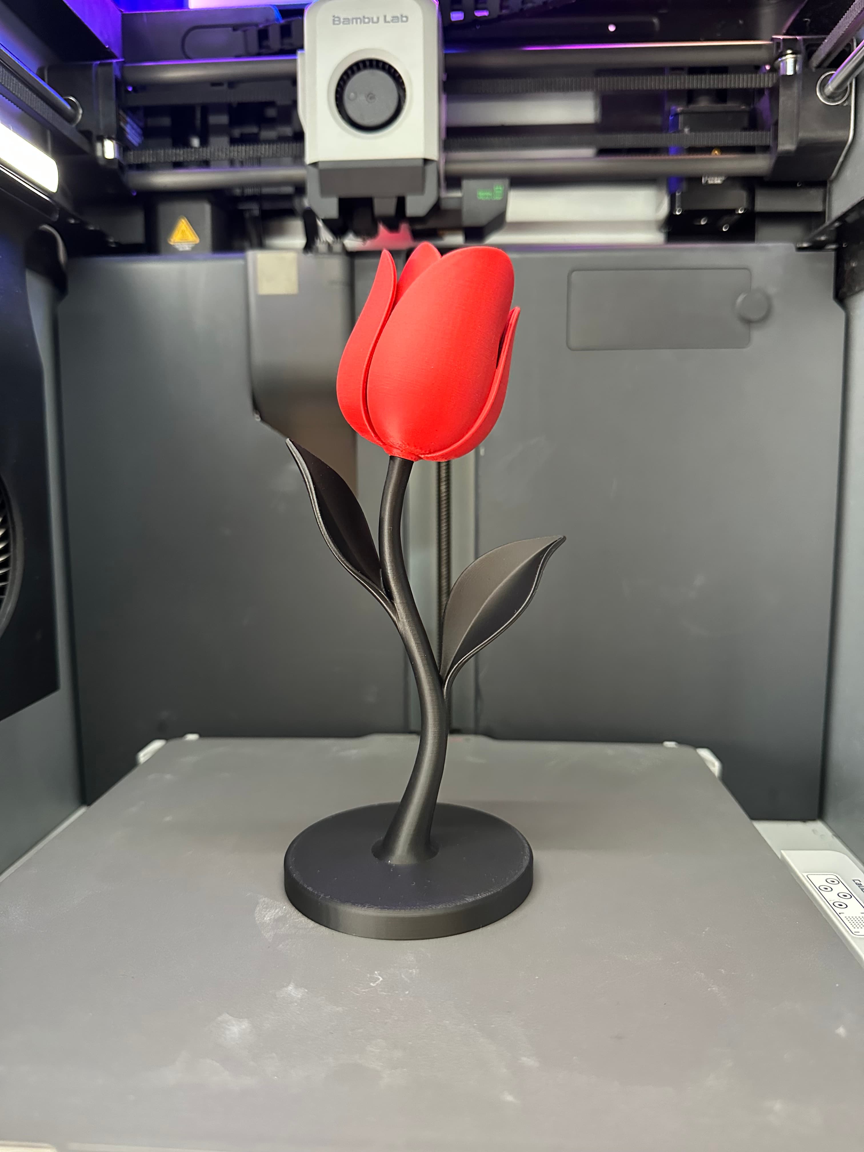 Eternal Flower Tulip Sculpture – Decorative Floral Display for Home Decor, Shelf Styling & Miniature 3d model