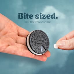 Mini Fidget Pill Organizer 3d model