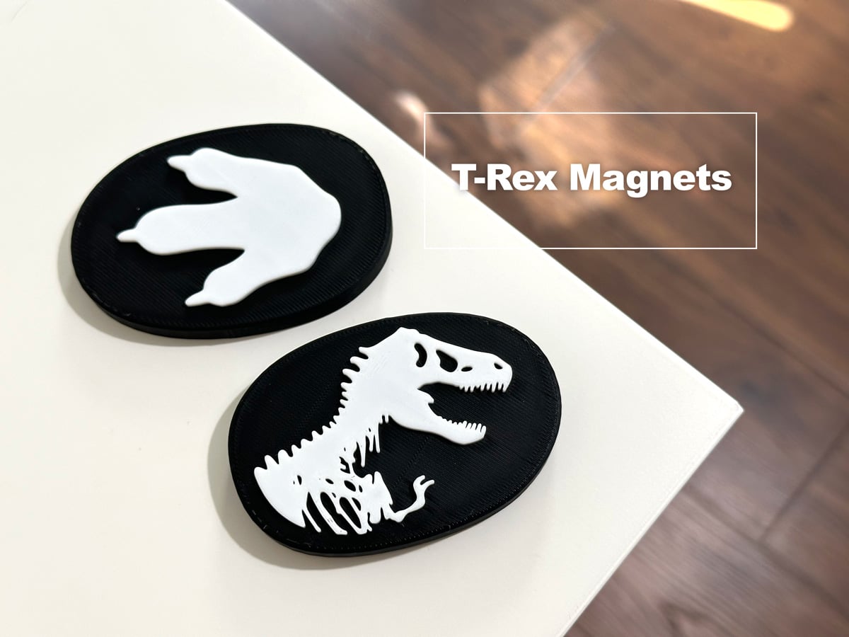 T-Rex Magnets 3d model