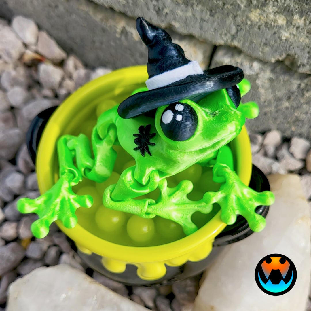 Witch Frog 3d model