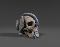 Tentacle Skull 3d model
