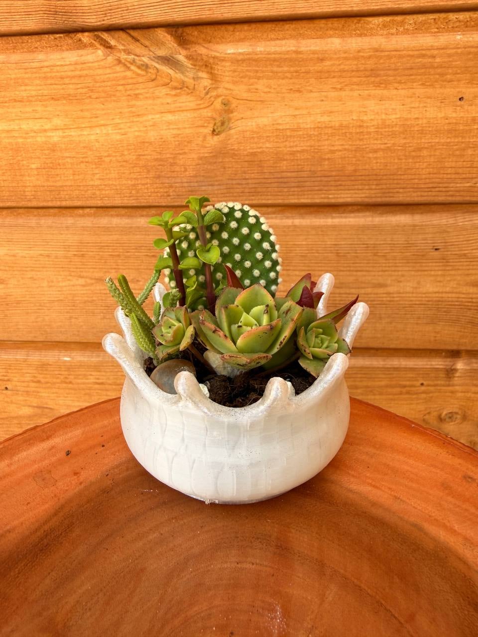 Water Splash Crown Planter 3d model
